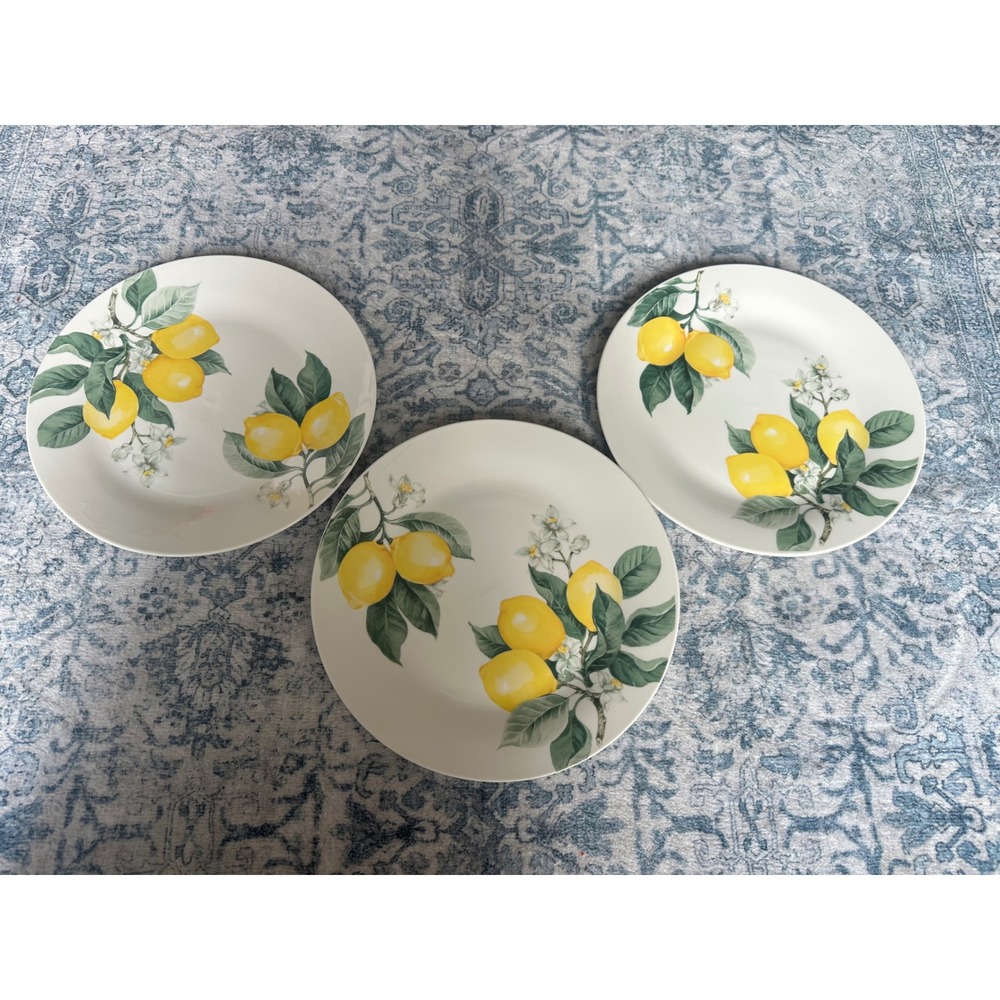 Royal Norfolk Lemon Citrus Blossom Stoneware Dinner Plates Set of 3 White Yellow